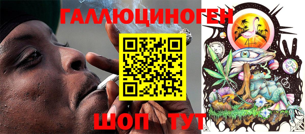 Галлюциногенные грибы GOLDEN TEACHER  Галлюциногенные грибы прущие грибы  Вход с VPN  Кострома 